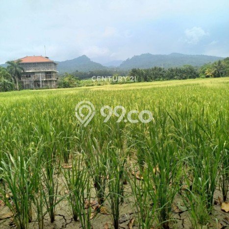 Dijual Tanah di Carita Pandeglang Luas 30000m2 SHM Dijual Tanah di Carita Pandeglang Luas 30000m2 SHM