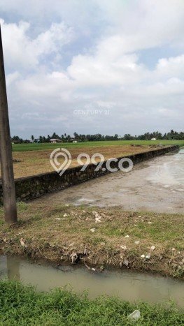 Kavling Tanah Dijual di Tebingtinggi Serdang Bedagai Spesifikasi 1706m2 Kavling Tanah Dijual di Tebingtinggi Serdang Bedagai Spesifikasi 1706m2