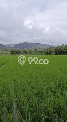 Dijual Tanah di Carita Pandeglang Luas 30000m2 SHM Dijual Tanah di Carita Pandeglang Luas 30000m2 SHM