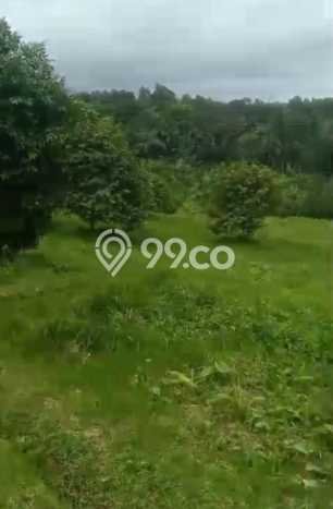 Tanah Dijual Lokasi Selemadeg, Tabanan Luas 35000m2 Legalitas Aman Tanah Dijual Lokasi Selemadeg, Tabanan Luas 35000m2 Legalitas Aman