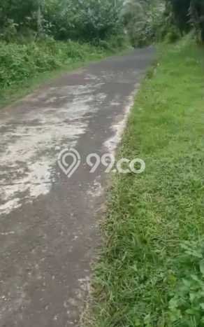 Tanah Dijual Lokasi Selemadeg, Tabanan Luas 35000m2 Legalitas Aman Tanah Dijual Lokasi Selemadeg, Tabanan Luas 35000m2 Legalitas Aman