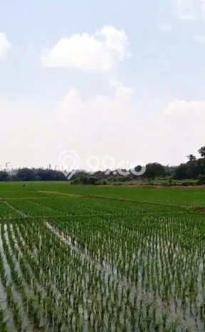 Lahan Dijual Lokasi Pabuaran, Subang dengan Luas Tanah 45000m2 dan Status SHM Lahan Dijual Lokasi Pabuaran, Subang dengan Luas Tanah 45000m2 dan Status SHM