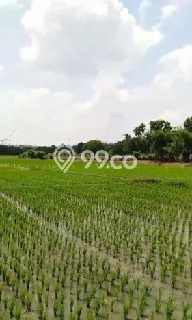 Lahan Dijual Lokasi Pabuaran, Subang dengan Luas Tanah 45000m2 dan Status SHM Lahan Dijual Lokasi Pabuaran, Subang dengan Luas Tanah 45000m2 dan Status SHM