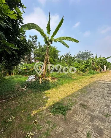 Lahan Dijual Lokasi Jagakarsa, Jakarta Selatan dengan Luas Tanah 12000m2 dan Status SHM Lahan Dijual Lokasi Jagakarsa, Jakarta Selatan dengan Luas Tanah 12000m2 dan Status SHM