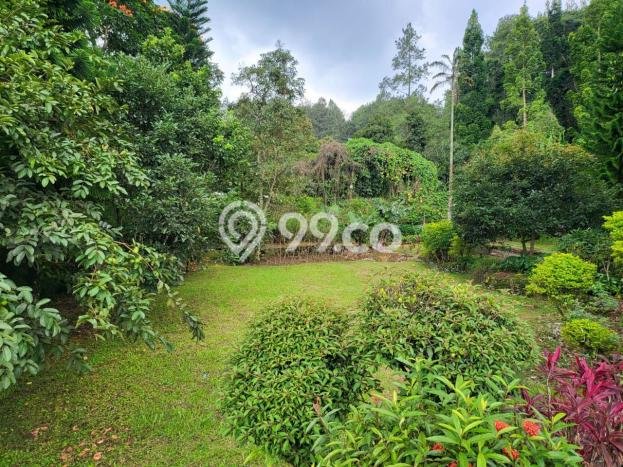 Vila di Cisarua, Area 4683m2m², Area Premium Vila di Cisarua, Area 4683m2m², Area Premium