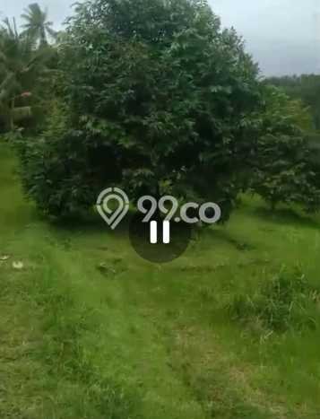 Tanah Dijual Lokasi Selemadeg, Tabanan Luas 35000m2 Legalitas Aman Tanah Dijual Lokasi Selemadeg, Tabanan Luas 35000m2 Legalitas Aman