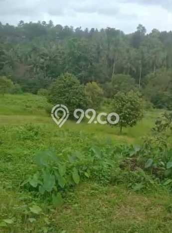 Tanah Dijual Lokasi Selemadeg, Tabanan Luas 35000m2 Legalitas Aman Tanah Dijual Lokasi Selemadeg, Tabanan Luas 35000m2 Legalitas Aman