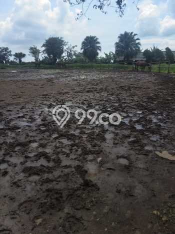 Tanah di Cianjur, Cianjur Luas 90000m2 Dijual Segera Tanah di Cianjur, Cianjur Luas 90000m2 Dijual Segera