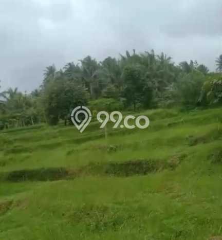 Tanah Dijual Lokasi Selemadeg, Tabanan Luas 35000m2 Legalitas Aman Tanah Dijual Lokasi Selemadeg, Tabanan Luas 35000m2 Legalitas Aman