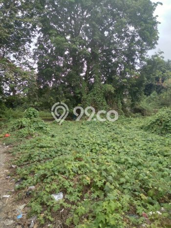Lahan untuk Dijual Lokasi Senen, Jakarta Pusat Luas 4241m2 - Lahan untuk Dijual Lokasi Senen, Jakarta Pusat Luas 4241m2 -