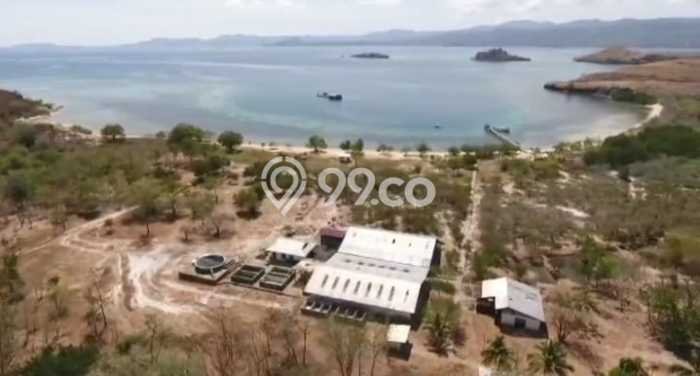 Kavling Tanah Dijual di Praya Barat Lombok Tengah Spesifikasi 130000m2 Kavling Tanah Dijual di Praya Barat Lombok Tengah Spesifikasi 130000m2