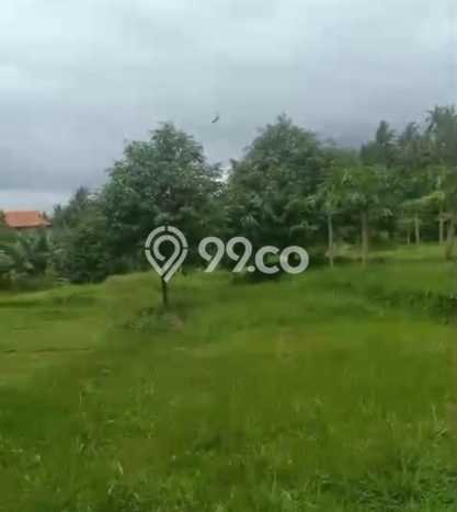 Tanah Dijual Lokasi Selemadeg, Tabanan Luas 35000m2 Legalitas Aman Tanah Dijual Lokasi Selemadeg, Tabanan Luas 35000m2 Legalitas Aman