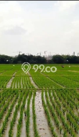 Lahan Dijual Lokasi Pabuaran, Subang dengan Luas Tanah 45000m2 dan Status SHM Lahan Dijual Lokasi Pabuaran, Subang dengan Luas Tanah 45000m2 dan Status SHM