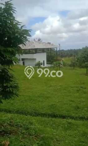 Tanah Dijual Lokasi Selemadeg, Tabanan Luas 35000m2 Legalitas Aman Tanah Dijual Lokasi Selemadeg, Tabanan Luas 35000m2 Legalitas Aman