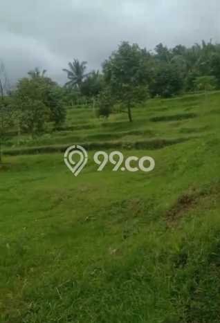 Tanah Dijual Lokasi Selemadeg, Tabanan Luas 35000m2 Legalitas Aman Tanah Dijual Lokasi Selemadeg, Tabanan Luas 35000m2 Legalitas Aman