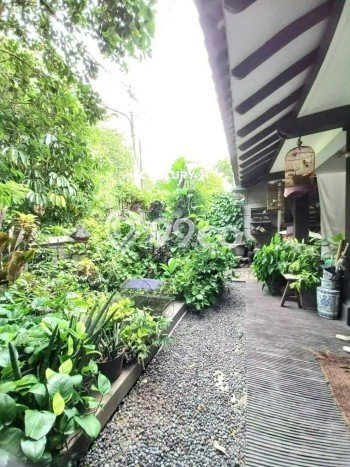 Dijual Rumah Mewah Megah Dengan View Eksklusif di Bintaro, Tangerang Selatan Dijual Rumah Mewah Megah Dengan View Eksklusif di Bintaro, Tangerang Selatan