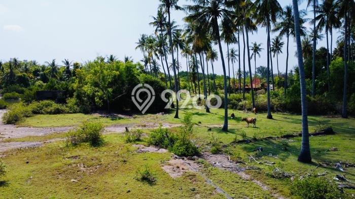 Tanah Kosong Dijual di Buleleng dengan Area 21700m2 Tanah Kosong Dijual di Buleleng dengan Area 21700m2