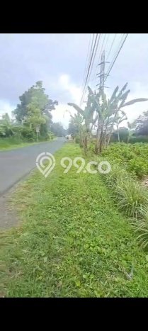 Tanah Kavling Dijual di Wanagiri, Buleleng dengan Luas Tanah 2325m2 Tanah Kavling Dijual di Wanagiri, Buleleng dengan Luas Tanah 2325m2