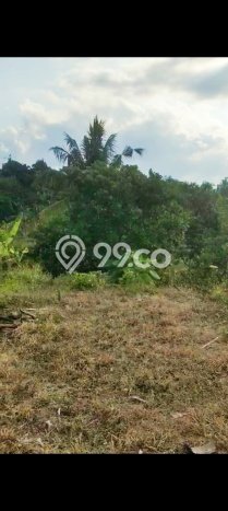 Tanah Investasi Dijual di Buleleng Punya Luas 13690m2 Tanah Investasi Dijual di Buleleng Punya Luas 13690m2