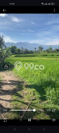 Tanah Investasi Dijual di Buleleng Punya Luas 7000m2 Tanah Investasi Dijual di Buleleng Punya Luas 7000m2