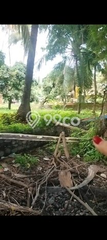 Kavling Tanah Dijual di Tejakula Buleleng Spesifikasi 2150m2 Kavling Tanah Dijual di Tejakula Buleleng Spesifikasi 2150m2