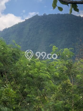Dijual Tanah 35000m2 di Galungan, Buleleng Dijual Tanah 35000m2 di Galungan, Buleleng