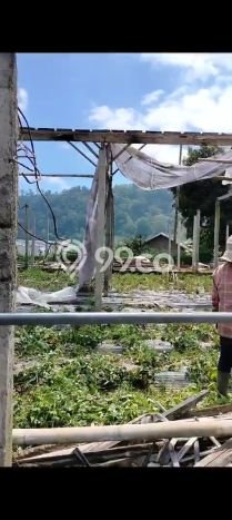 Tanah Dijual Area Strategis di Pancasari Buleleng 1000m2 Tanah Dijual Area Strategis di Pancasari Buleleng 1000m2