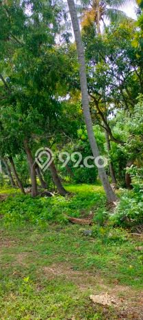 Tanah Kavling untuk Dijual di Tejakula Buleleng 1800m2 Tanah Kavling untuk Dijual di Tejakula Buleleng 1800m2