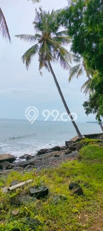 Tanah Kavling di Tejakula Dijual dengan Luas 3000m2 Tanah Kavling di Tejakula Dijual dengan Luas 3000m2