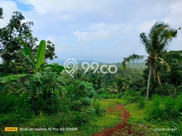 Dijual Tanah Lokasi Depeha, Buleleng Seluas 3000m2 Dijual Tanah Lokasi Depeha, Buleleng Seluas 3000m2