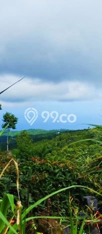 Untuk Dijual Tanah di Buleleng, Luas 4800m2 SHM Untuk Dijual Tanah di Buleleng, Luas 4800m2 SHM