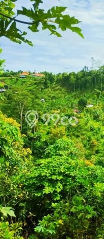 Untuk Dijual Tanah di Buleleng, Luas 4800m2 SHM Untuk Dijual Tanah di Buleleng, Luas 4800m2 SHM