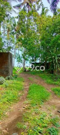 Untuk Dijual Tanah di Buleleng, Luas 1100m2 SHM Untuk Dijual Tanah di Buleleng, Luas 1100m2 SHM