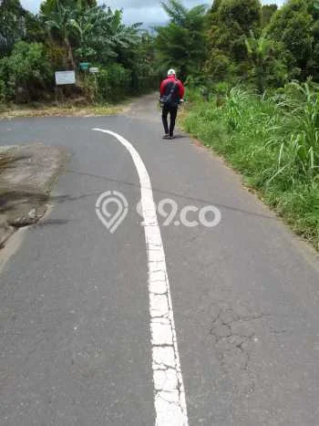 Tanah Dijual di Buleleng Seluas 10000m2 Strategis Tanah Dijual di Buleleng Seluas 10000m2 Strategis