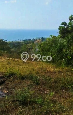 Tanah Investasi Dijual di Buleleng Punya Luas 13690m2 Tanah Investasi Dijual di Buleleng Punya Luas 13690m2