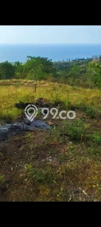 Tanah Investasi Dijual di Buleleng Punya Luas 13690m2 Tanah Investasi Dijual di Buleleng Punya Luas 13690m2