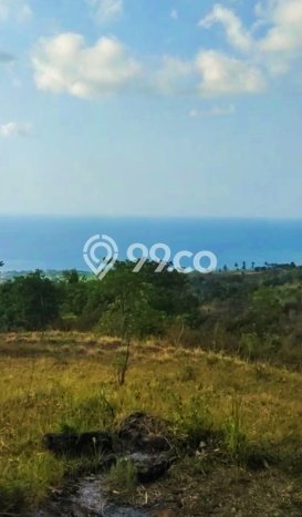 Tanah Investasi Dijual di Buleleng Punya Luas 13690m2 Tanah Investasi Dijual di Buleleng Punya Luas 13690m2
