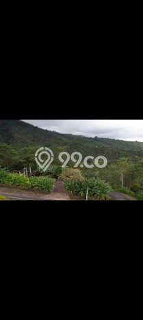 Tanah Dijual di Buleleng Seluas 10000m2 Strategis Tanah Dijual di Buleleng Seluas 10000m2 Strategis