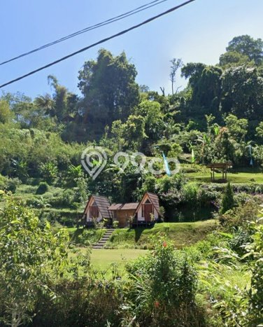 Tanah Dijual Area Strategis di Pancasari Buleleng 9000m2 Tanah Dijual Area Strategis di Pancasari Buleleng 9000m2