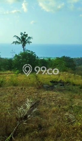 Tanah Investasi Dijual di Buleleng Punya Luas 13690m2 Tanah Investasi Dijual di Buleleng Punya Luas 13690m2