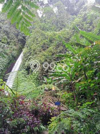 Tanah Kavling Dijual di Buleleng dengan Spesifikasi 10600m2 Tanah Kavling Dijual di Buleleng dengan Spesifikasi 10600m2