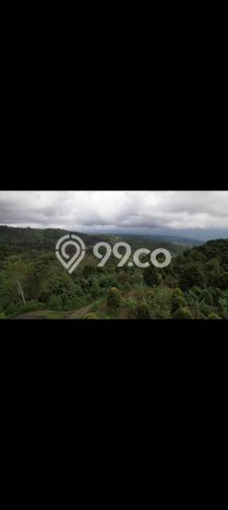 Tanah Dijual di Buleleng Seluas 10000m2 Strategis Tanah Dijual di Buleleng Seluas 10000m2 Strategis