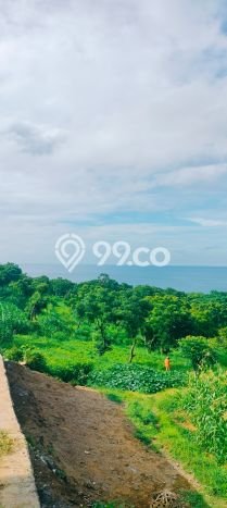 Tanah Kavling Dijual di Buleleng dengan Spesifikasi 8000m2 Tanah Kavling Dijual di Buleleng dengan Spesifikasi 8000m2