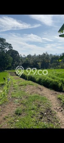 Tanah Investasi Dijual di Buleleng Punya Luas 7000m2 Tanah Investasi Dijual di Buleleng Punya Luas 7000m2