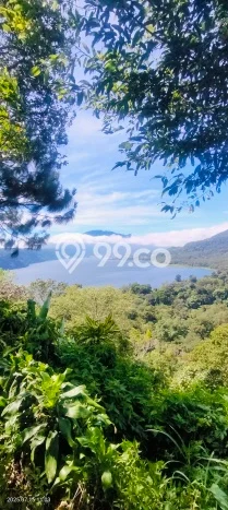 Lahan Dijual Lokasi Strategis di Buleleng dengan Luas 15000m2 Lahan Dijual Lokasi Strategis di Buleleng dengan Luas 15000m2