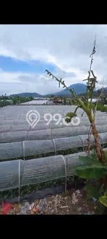 Tanah Dijual Lokasi Strategis di Tabanan dengan Luas 2800m2 Tanah Dijual Lokasi Strategis di Tabanan dengan Luas 2800m2