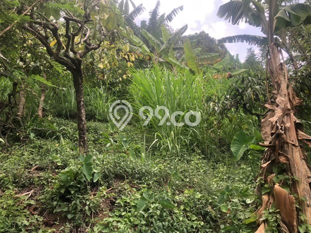 Dijual Tanah 35000m2 di Galungan, Buleleng Dijual Tanah 35000m2 di Galungan, Buleleng