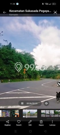 Dijual Tanah Lokasi Gitgit, Buleleng Seluas 1600m2 Dijual Tanah Lokasi Gitgit, Buleleng Seluas 1600m2
