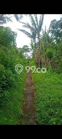 Tanah Dijual Lokasi Strategis di Buleleng dengan Luas 4500m2 Tanah Dijual Lokasi Strategis di Buleleng dengan Luas 4500m2