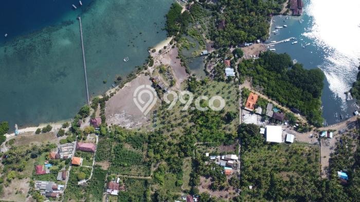 Tanah Kosong Dijual di Buleleng dengan Area 21700m2 Tanah Kosong Dijual di Buleleng dengan Area 21700m2